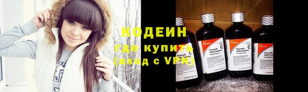 твердый Гусь-Хрустальный