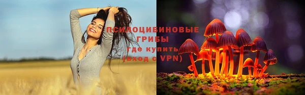 марки lsd Горно-Алтайск