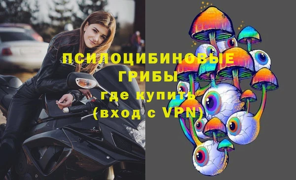 дурь Гусев